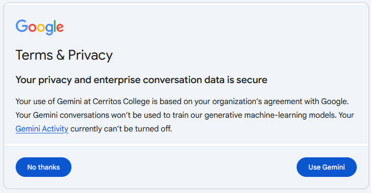 Google Gemini Terms and Privacy statement