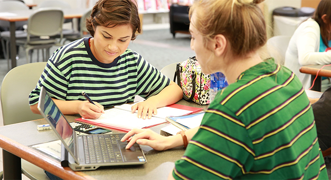 Business students studying Business material