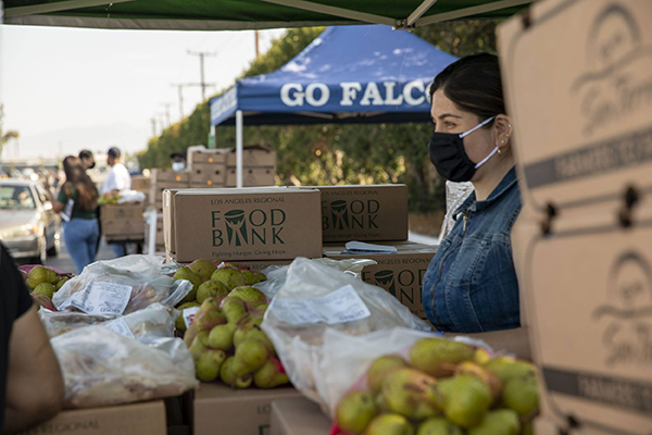Food distribution
