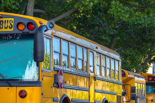 School buses