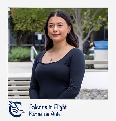 Katherine Ante Falcons in Flight
