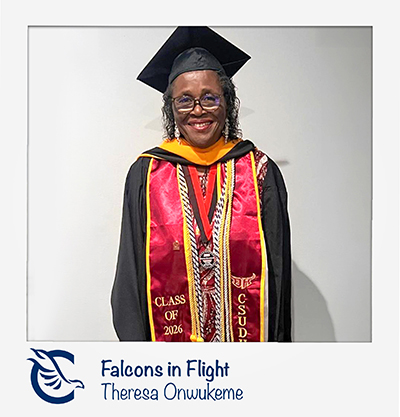 Falcons in Flight Theresa Onwukeme