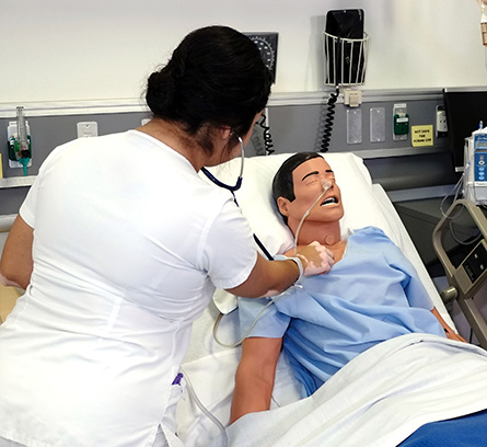 Option D Nursing Student