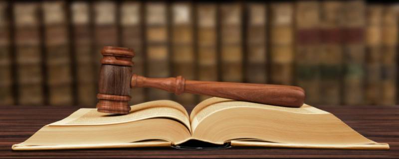 bookcase and gavel