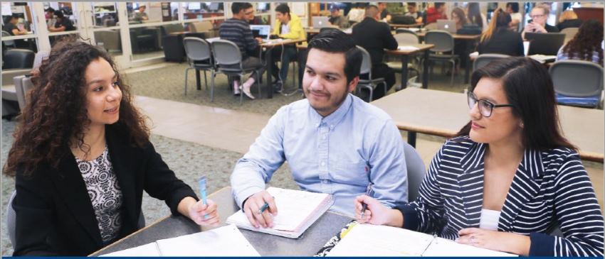 Students Studying in the Library