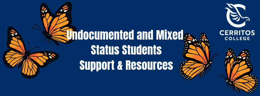 Undocu Support decortive banner